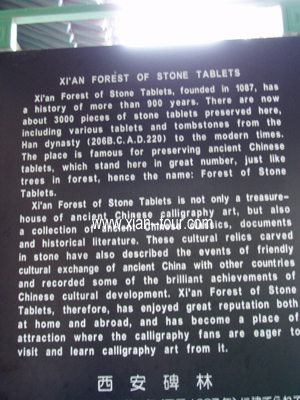 Stele Forest Xian